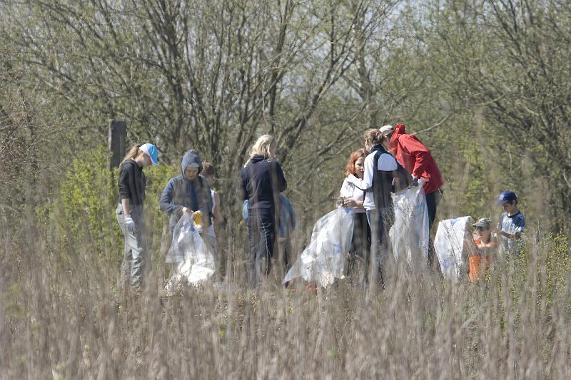 paljasaare_teeme2008 101.jpg